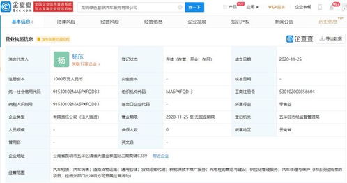 吉利關聯企業布局新能源技術推廣，加速綠色出行生態建設